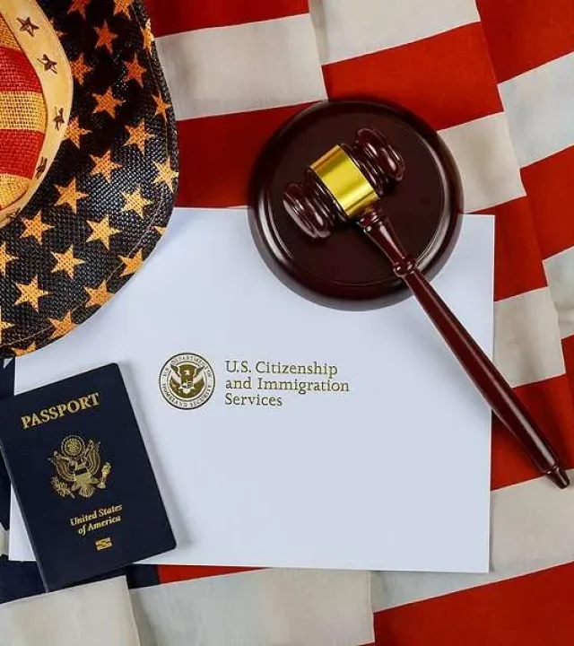 immigration image
